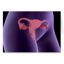 Recherche de aine cartes postales Physiologie