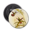 Recherche de peinture colorée ouvre bouteilles Oiseau