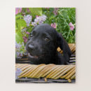 Recherche de labrador retriever puzzles Puppy