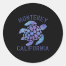 Recherche de tortue tribale autocollants Plage