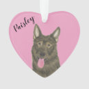 Recherche de german shepherd ornamente Gsd