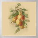 Recherche de botanique vintage posters Peinture