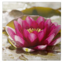 Recherche de flou carreaux Rose