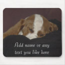 Recherche de somnolent tapis souris Chien