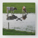 Recherche de vache à lait horloges Vaches