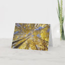 Zoek naar aspen kaarten Herfst