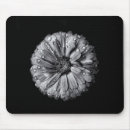 Recherche de liquide photographie Texture