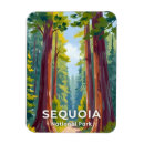 Zoek naar sequoia magneten Californië