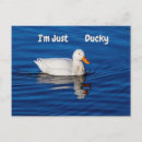 Recherche de très bien cartes postales Canard