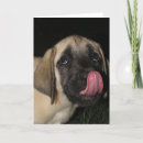 Zoek naar mastiff kaarten Puppy