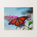Recherche de butterfly puzzles Insecte