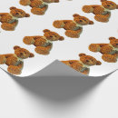 Recherche de ours de nounours papier cadeau Peluche