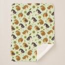 Recherche de kiwi oiseau maison deco Fruit