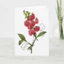 Recherche de pois doux vœux cartes Vert