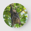Recherche de bat horloges Animal