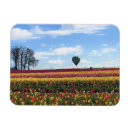 Zoek naar klompen magneten Tulpen