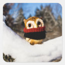 Zoek naar rode uil stickers Sneeuw