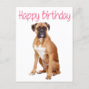 Zoek naar boxer puppy briefkaarten Gelukkige verjaardag