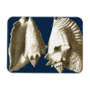 Recherche de sépia magnets Conque