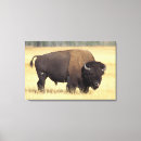 Recherche de de faune impressions sur toile Portrait