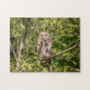Zoek naar roofvogels puzzels Raptor