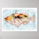 Recherche de poissons de récif posters Aquarelle