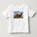 Recherche de poney de shetland tshirts Gros plan