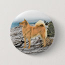 Recherche de finlandais badges Dog