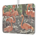 Recherche de flamants roses voiture accessoires Floride