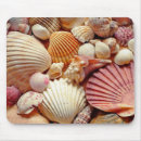 Recherche de palourdes tapis souris Plage