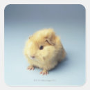 Recherche de regard autocollants Bleu