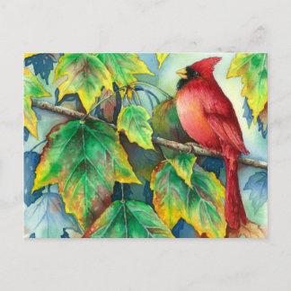 0004 CardinaalPostcard Briefkaart