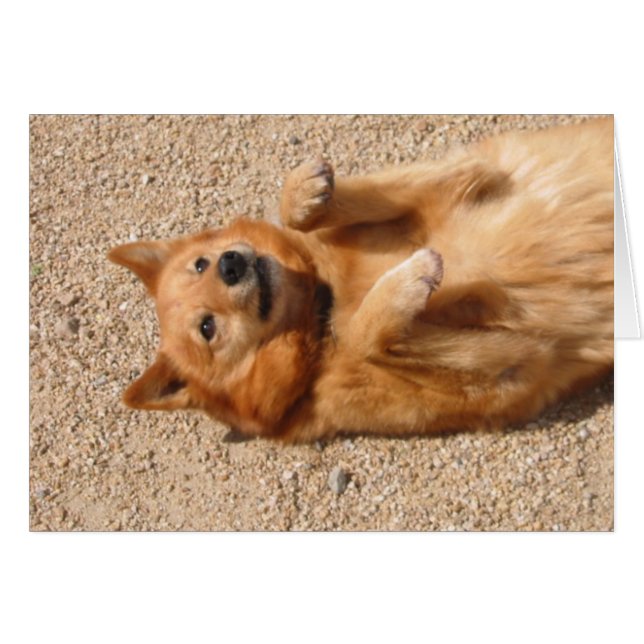 0006Koperbuikrub (Voorkant Horizontaal)