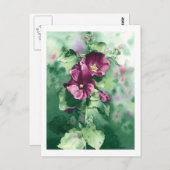 0007 Carte postale de Dorothy Hollyhocks (Devant / Derrière)