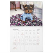000_0011, OLIVER AIME le GRAND-PAPA, le calendrier (Feb 2027)
