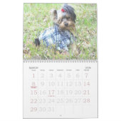 000_0011, OLIVER AIME le GRAND-PAPA, le calendrier (Mar 2026)