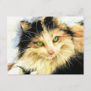 0010 Calico Cat Briefkaart