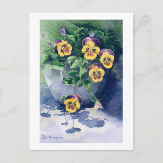 0011 Pansies in Planter Briefkaart