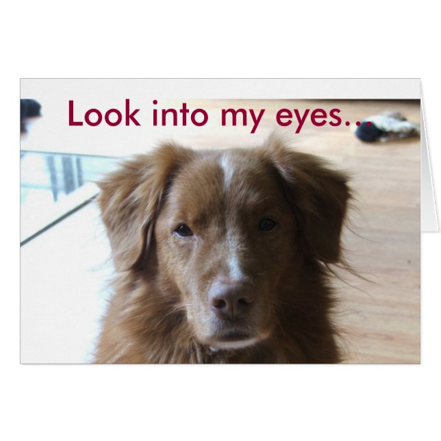 0029, regarde dans mes yeux... (Devant horizontal)