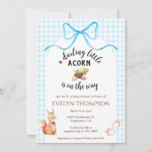 002 Cerulean Eekhoorn Eikel Geruite Baby Shower
