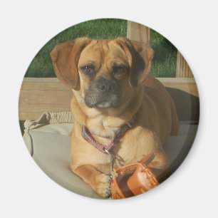 003 Puggle magnet Magneet