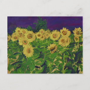 0067 le champ des tournesols briefkaart