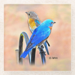 010 Bluebird Love 4x4 Glass Onderzetter Glazen Onderzetter