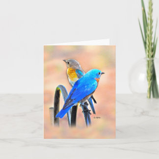 010 matte de la carte de note d'amour d'oiseau