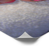 011, The Toe Lady Poster (Hoek)