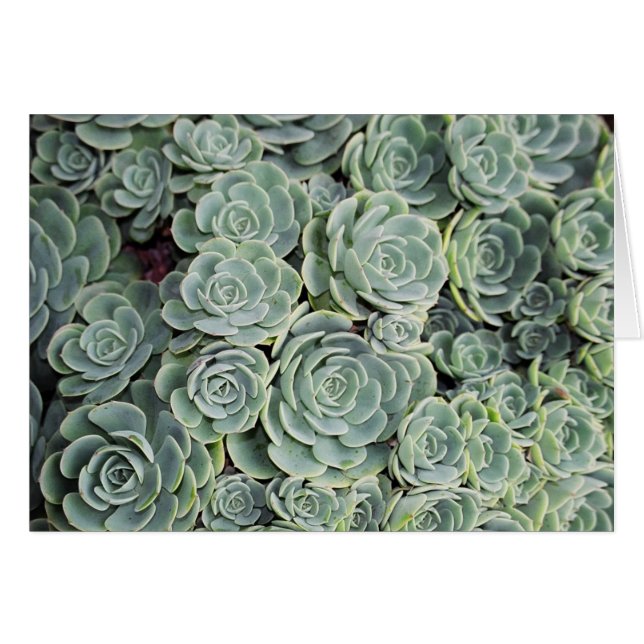 01760023 (Voorkant Horizontaal)