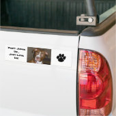019 (1) perfecte puppy pic van Brandy Bumpersticker (Op Truck)