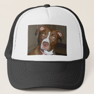 019 (1) perfecte puppy pic van Brandy Trucker Pet