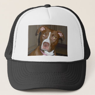019 (1) perfecte puppy pic van Brandy Trucker Pet