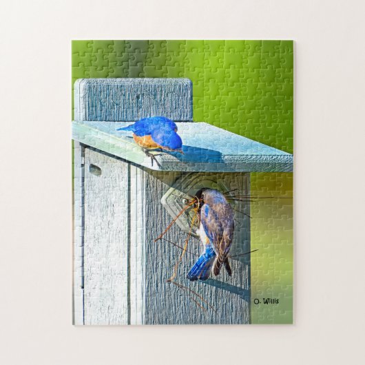 020 Bluebird Nesting 11x14 Puzzle 252 stuks Legpuzzel (Verticaal)